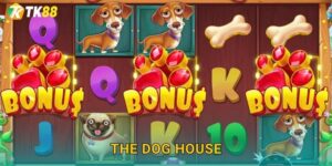 The Dog House Tk88 sh – Ngôi Nhà Chó Giàu Có