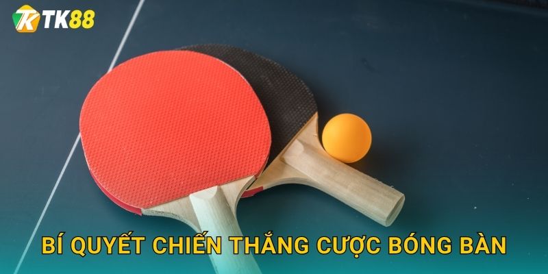 Cược Bóng Bàn Tk88 sh - Thắng Lớn Mỗi Ngày 3 Bí quyết chiến thắng cược bóng bàn