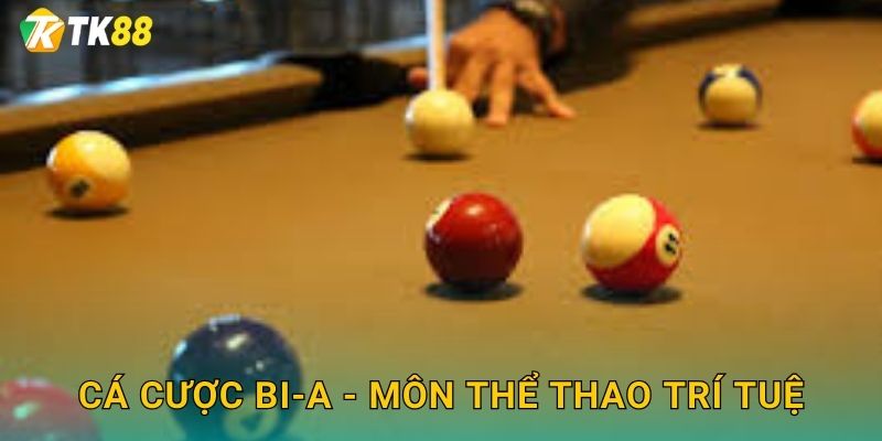 Cá cược bi-a - Môn thể thao trí tuệ