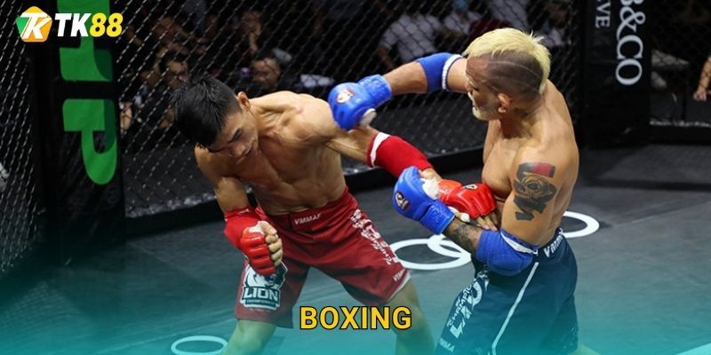 Tk88 sh - Đỉnh Cao Cá Cược Boxing Thế Giới 1 Tk88 sh – Đỉnh Cao Cá Cược Boxing Thế Giới