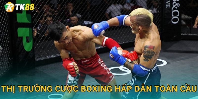 Thị trường cược boxing hấp dẫn toàn cầu